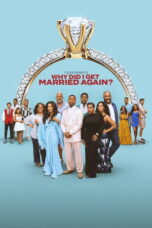 Why Did I Get Married Again (2026) Sub Indonesia
